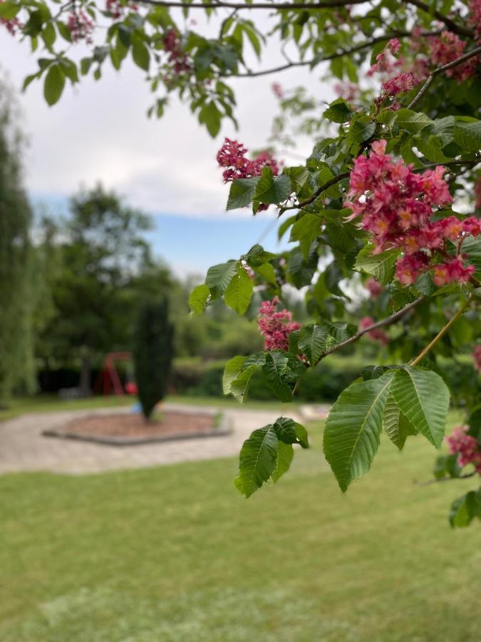 Hello Balcsi Apartmanhaz Тихань Екстер'єр фото